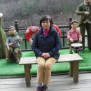 성수여자고등학교 이미지