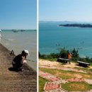 여운이네 이미지