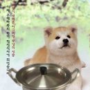 초원농장 이미지