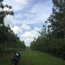 호코농장 이미지