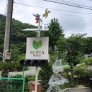 수피아호스텔 이미지