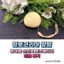 휴대용 손난로 보조배터리 알로코리아 알밤 5000mAh 이용후기