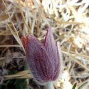 가룡마을회관 이미지