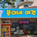 품이네 애견방 이미지