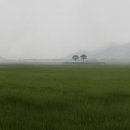 천년의 정원 이미지