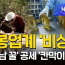 [NBS한국농업방송 유튜브] ‘베트남 꿀’ 공세에 ‘칸막이 행정’까지…양봉업계 ‘비상’﻿ 이미지