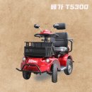 베가모터스 이미지