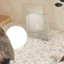 헤어 온 이미지