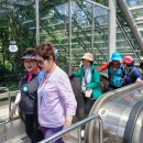 매봉산1 이미지