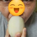 브리지팜 이미지