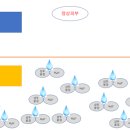 프라자약국 이미지