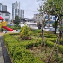 대일의류도매백화점
