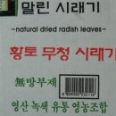 . [생방송투데이 11월 25일]시래기로 연매출 8억 -경남 창녕맛집 김숙녀시래기밥 이미지