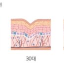 스파렉스피부미용