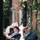 빨간지붕앤 이미지