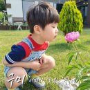 송선로4길-1 이미지