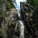 늘푸른계곡 이미지