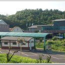 감귤박물관 위 이미지