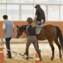 복용승마장 이미지