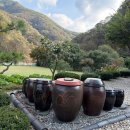 GS25 양평수입리점 이미지