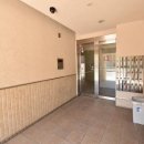 미소젠 | 엔조 신오사카 C 강력추천!(최저가링크,후기)