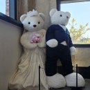 하우스오브테디베어카페 | 용머리해안 카페(산방산 카페) 하우스오브테디베어카페(플레이사계) 귀여운 테디베어 소품 쇼핑