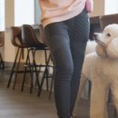 휴 애견미용 이미지