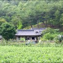 송암조경건설 | 안동 장씨 경당 장흥효