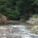 공작산 휴양림 펜션 이미지