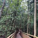 축령산 치유의 숲 안내센터 | 추암주차장에서 축령산 치유숲길 편백나무숲 가는 방법