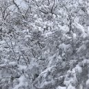 STUDIOMOBE반치옥사진관