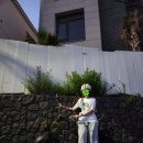 용마카서비스 | 제주도 스쿠터 당일 대여 :: 제주라인스쿠터 / 운전 초보도 가능!