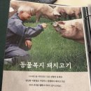 병수농장 | 서울 마포역 맛집 월화식당 블루리본 인증 3대 삼겹살 맛집