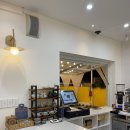 옐로우연화 이미지