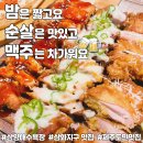 밤은짧고요순살은맛있고맥주는차가워요 | 삼화지구맛집 밤은짧고요 순살은 맛있고 맥주는 차가워요 밤순살맥주