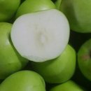 행복애농원 이미지