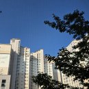 하늘비뇨의학과의원 이미지