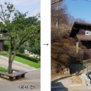 용인농촌테마파크 야외화장실 이미지