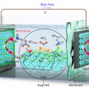 산화 태양광 이미지