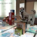 진도향기특산품 이미지