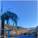 양지말펜션 | 홍천 비발디파크 펜션 찾는다면? 라테라스에서 잊지 못할 가을 감성