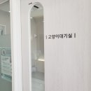 보담동물병원 이미지