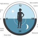 인체 - 리듬 이미지