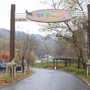 숲속 동키마을 캠핑장 이미지