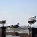 경기둘레길 화성48코스 이미지