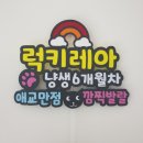 록희 | 록희 레아 고양이 토퍼 후기