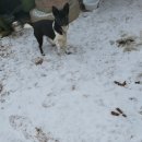 폴리파크태안점 이미지