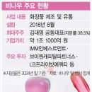 브이원파트너스