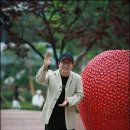 치키치키 이미지