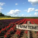 이영란농장 이미지